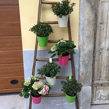 Hayloft 4* Cornaredo