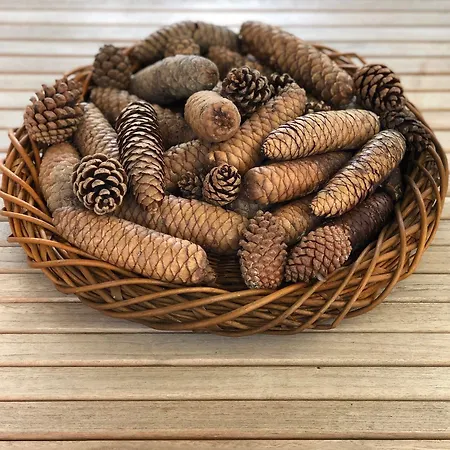 فندق مبيت وإفطار Hayloft كوررناريدو