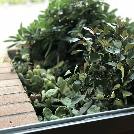 Hayloft فندق مبيت وإفطار
