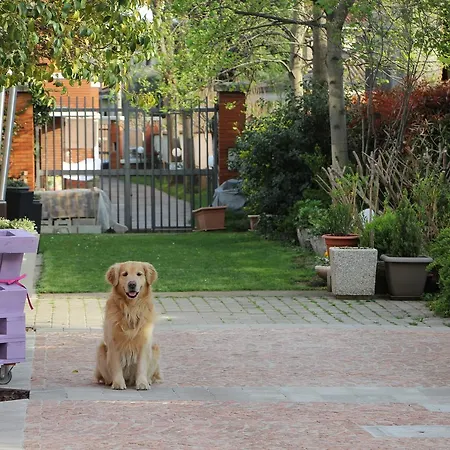 Oda ve Kahvaltı Hayloft 4*