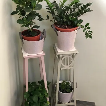 Oda ve Kahvaltı Hayloft